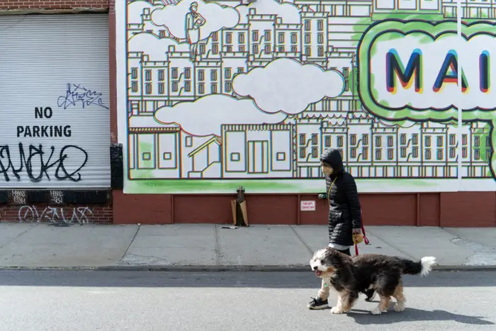 A photo of a woman walking her dog in Brooklyn